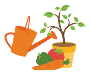 services-plus-arrosage-potager-plante-vivert