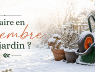 que faire en déc. bannière